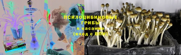 ГАЛЛЮЦИНОГЕННЫЕ ГРИБЫ Майский