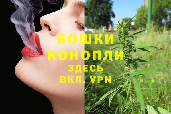 ГАЛЛЮЦИНОГЕННЫЕ ГРИБЫ Майский