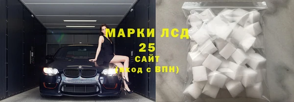 индика Алапаевск