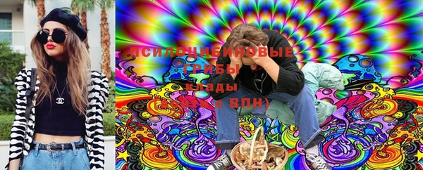 ГАЛЛЮЦИНОГЕННЫЕ ГРИБЫ Майский