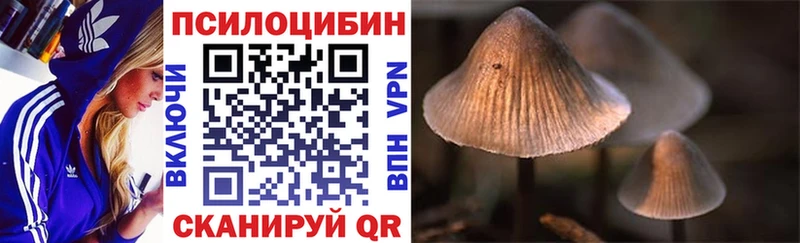Галлюциногенные грибы мицелий  мега маркетплейс  Мостовской  купить  цена 